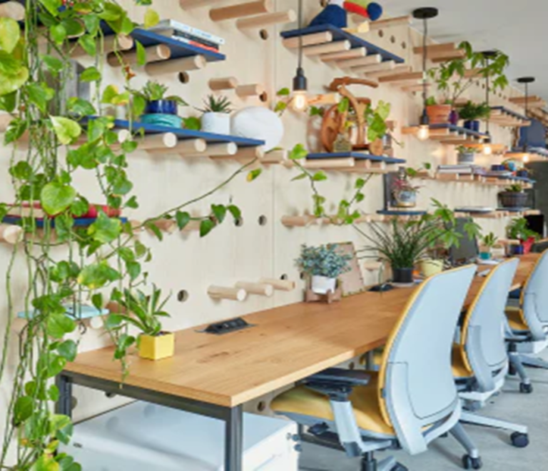 20 Best Indoor Office Plants to Refresh and Brighten Your Workspace